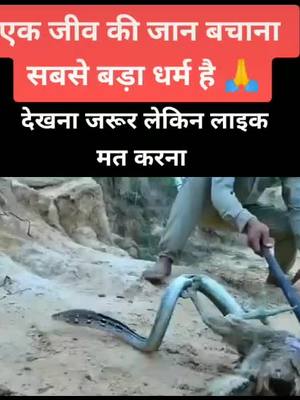 A post by @raika822_janvi_marwadi on TikTok