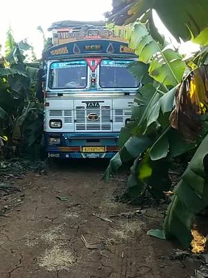 A post by @shahrukh.khan.1996567 on TikTok caption: 🥰 so happy my truck🤗🤗 Shukriya Mere Maula🤲🤲 thank you 🙋‍♂Tiktok My All friend support🙋‍♂ karne ke liye🤗🤗