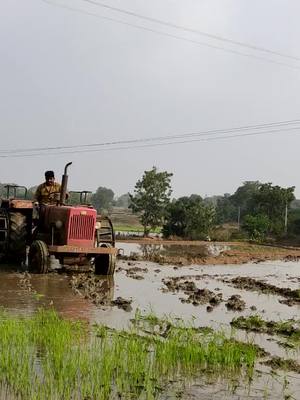 A post by @vamshi9963 on TikTok caption: #tractor #raithubidda #raithubidda #siddipet_wala