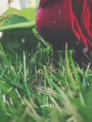 A post by @roshni__offical on TikTok caption: #team__a #oficala #tiktok #trending #foryou #foryoupage #islam #muslim #muhammad #alla @rashid.miftahi @tiktok