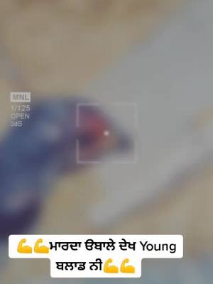 A post by @jashangillzzzzzzzzzzzzzz on TikTok caption: 🐍🐍Nagg da ਬੱਚੇ🐍🐍