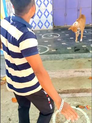 A post by @babulkumar196 on TikTok caption: Kukuro Saha comedy..🤪🤪🤪😁😁😁#viral_video #tiktokberhampur #soport #foryou #foryoupag #odiatiktok