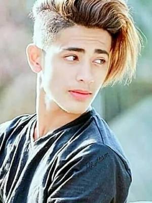 A post by @sachin07_dz on TikTok caption: #myjourney #danishzehen #fambruh #tiktokindia #foryoupage @danishzehen