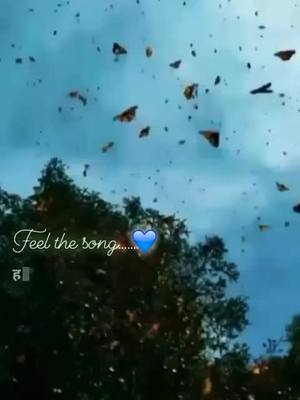 A post by @831_neha on TikTok caption: #tiktokindia #foryoupage #foryou #🌍💯❤😘💫 #💟💟💟