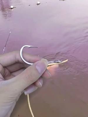 A post by @seanimal on TikTok caption: can u make it like this ？#fishhooks #fishing