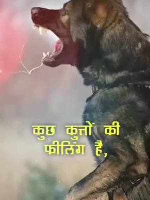 A post by @bhayofojiiii on TikTok caption: Jai hind #foryou #tiktokindia #tiktok #gujjar #gurjar #bhayofoji@tiktok_india