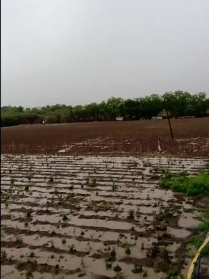 A post by @vijaydabhi195 on TikTok caption: #fpy #tiktok #foryoupage #tiktok_india #oppo #vira 🌧️🌧️🌧️🌧️🌧️🌧️🌧️