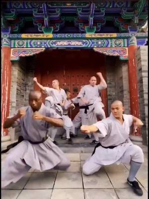 A post by @meetkungfu on TikTok caption: How do you open the door everymoning?Here goes shaolin style#kungfu #wushu #shaolin #morningroutine