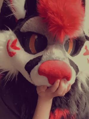 A post by @artemisflame on TikTok caption: Do You Love Me~ ♥️ #furry #fursuit #furryfandom #foryou #fyp #SNOOZZZAPALOOZA #DogsOfTikTok #xyzcba