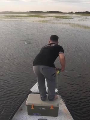 A post by @gabelefebvre on TikTok caption: Flood tide tailer! #fish #fishing #Outdoors #flood #foryou #fyp #foryoupage #sunset #florida #water #PhotoStory #epic #fun #2020 #awesome #redfish