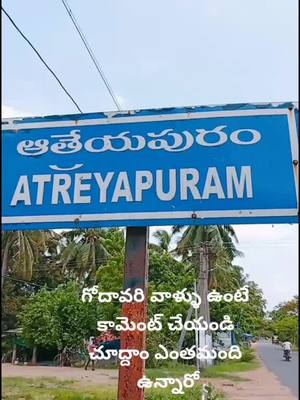 A post by @pandudommeru on TikTok caption: mamathalu panche ooru palletooru #godavari #godavarikurrodu #pandudommeru #foryoupage #selfistick