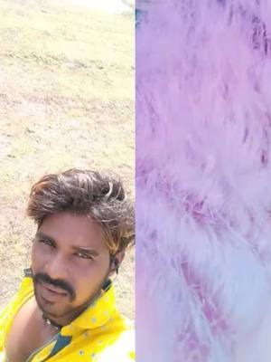 A post by @user89151734 on TikTok caption: #duet with @user4235852527529