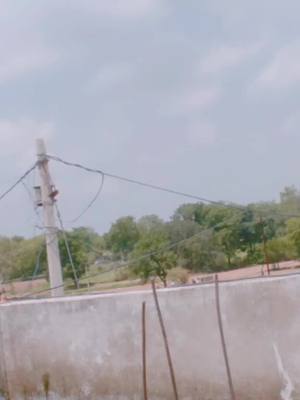 A post by @riya6818 on TikTok caption: badsha #riya6818 #tiktok_india