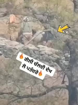 A post by @shivagujjarup12 on TikTok caption: Foji mhakma