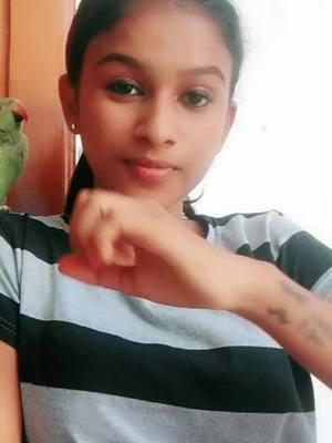 A post by @sweetyqueen_ on TikTok caption: 😇🧐motivational Lines abt birds..!! #sweetyqueen