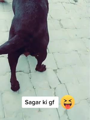 A post by @sumitjatav101 on TikTok caption: 💖❤️😂😂