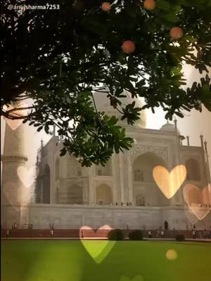 A post by @rishavpandit0052 on TikTok caption: #tajmahal #ब्राह्मण♠️❤️ #सरकार @tiktok_india @tiktok