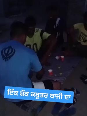 A post by @gurpreet...rajput.786 on TikTok caption: @nishabhattofficial @vinay.officiall786 @aryanlot5 @preetsandhu8716 @jashanmalwalia @s_kay_galot8