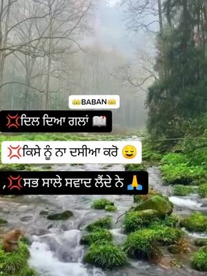 A post by @__karan__aujla__ on TikTok caption: #fyp