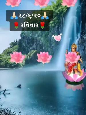 A post by @only.for.sikotar on TikTok caption: jay sikotar maa રવિવાર સ્પેશ્યલ સિકોતર ના માટે 🌹🌹🌹🌹🌹🌹🌹🌹🌹🌹🌹🌹🌹🌹🌹🌹🌹🌹🌹🌹🙏🏻🙏🏻🙏🏻🙏🏻👌🏻👌🏻👌🏻👌🏻👌🏻👌🏻👌🏻👌🏻👌🏻👌🏻👌🏻👌