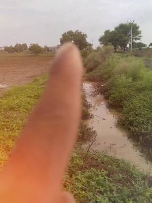 A post by @krishnabansod on TikTok caption: सॉरी डार्लिंग