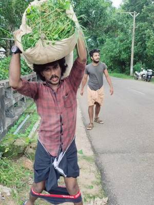 A post by @akhilbr0zz on TikTok caption: REPORT 🤤ആരുന്നു. 🤓ഈ കഥയും കഥ പത്രങ്ങളും സകൽപികം മാത്രം #foryou #malayalamcomedy #parippuvada #unniyappam #malluguys #nellikka #mammutty