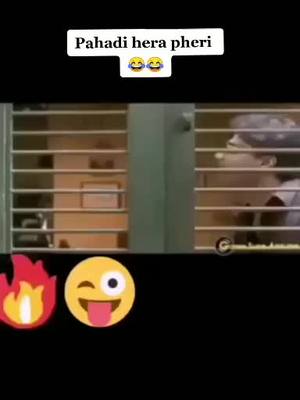 A post by @lalitmohanpandey1 on TikTok caption: Khidki m bhye roli ko😂#uttrakhand #devbhumiuttrakhand #kumaonicomedy #kumaoni #gadwali #lalitmohanpandey1 #foryoupage #foryou #tiktok_india #tiktok