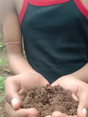 A post by @nikhilsahu2455 on TikTok caption: पेड़ लगाओ...! #tree #gardening101 #foryoupage #foryou #trending #lifeline #iloveyou #viralvideo #tiktokindia @tiktok