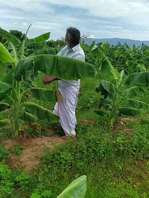 A post by @மதுரைமுருகன் on TikTok