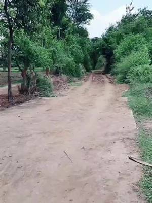 A post by @chiragrathod002 on TikTok caption: tik tok trand#tiktok_india