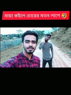 A post by @the_crazy_boys_025 on TikTok caption: 🤣🙈#bengalicomedy #comedyindia #funny #the_crazy_boys_025 #foryou #fyp #viral #tag #tik_tok @tiktok_india