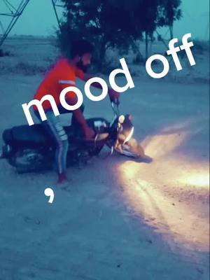 A post by @devmahra on TikTok caption: mood off he yar