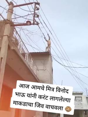 A post by @sachin_chavhan_3755 on TikTok caption: #ऑल_बंजारा #toktokindia #म_बंजारा_छू_सपोट_करो