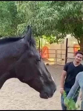 A post by @bollywoodpapz on TikTok caption: Salman on his farmhouse. #salmankhan #bhaijaan #monsoonvibes