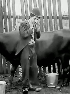 A post by @gyanasahoo on TikTok caption: the great Charlie Chaplin best comedy cow milk #2 #comedyvideo #charliechaplin #funnymusic #fyp