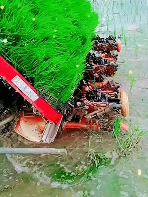 A post by @santhoshikkada on TikTok caption: #YANMAR RICE TRNSPLANTER#trending #rice #foryou #viral #TideLagaoDaagHatao #former #newmission #@naveen232k #plzsupport #mems #india