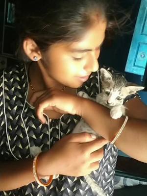 A post by @divya_prashant on TikTok caption: 😍😍😘#TideLagaoDaagHatao #foryou#catlovers #foryoupage #fyp #tiktokindia@tiktok_india