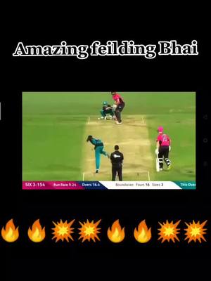 A post by @arif0013 on TikTok caption: Amazing feilding Bhai 💥💥🔥🔥#cricketlover #cricketworldcup #ma0786 #share #cricket