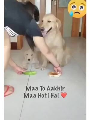 A post by @shabanasaiyad884 on TikTok caption: maa ki jagah koi nahi le sakta 😇 allah sabki maa ko salamat rakhe 😇🙏 #foryoupage #TideLagaoDaagHatao #foryoupage #foryou