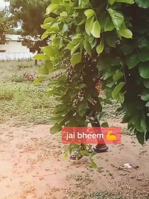 A post by @coolboypavanrtf on TikTok caption: #jai_beem_madigaboys 💪💪💪💪#plz_support #1mauditiontelugu #jai_beem_madigaboys #jai_beem_madigaboys #trending