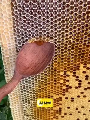 A post by @almart_pets on TikTok caption: bees make honey#animal