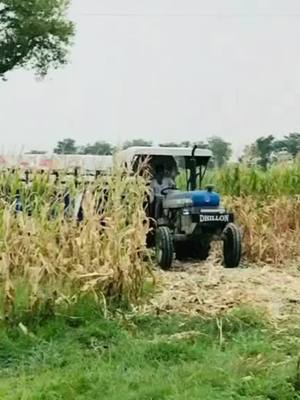 A post by @tractor_car_loverz on TikTok caption: #TideLagaoDaagHatao #tractor #like #tractorlover #attitude #jatt #5911 #tochan #jattwaad #jattlife #virel #4u #farmlife #tiktokindia #sidhumoosewala