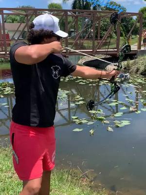 A post by @backyard_bowfishing on TikTok caption: #bowfishing #muzzybowfishing #southflorida #amsbowfishing #backyardbowfishing