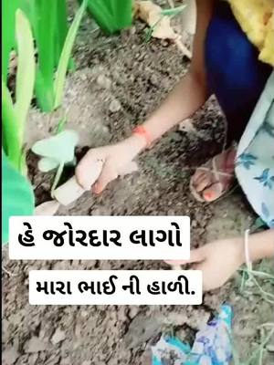 A post by @bindasskavyaa_41 on TikTok caption: જોરદાર લાગે છે