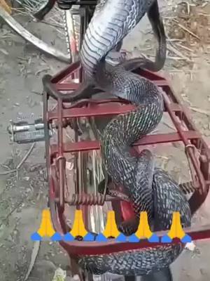 A post by @aravind_life_failure on TikTok caption: #god #snake