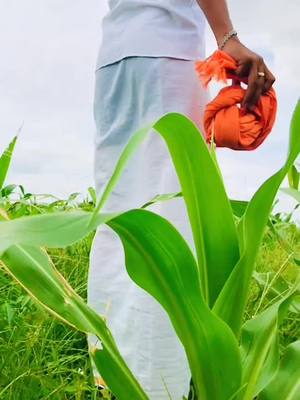 A post by @mr_roshu_02 on TikTok caption: May be ಇದು ನನ್ನ ಕೊನೆಯ ವೀಡಿಯೋ. ಎಲ್ಲಾರಿಗೂ ಧನ್ಯವಾದ ನೀವು ನನಗೆ support ಮಾಡಿದಕ್ಕೆ please follow me on insta#tiktok #team__02aaro #kreativekannadiga