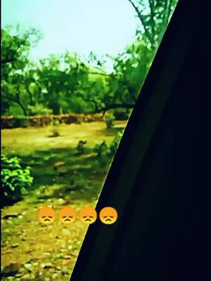 A post by @vishalthakurr02 on TikTok caption: क्या ये बात सही h 😣😣😣😣😣😣