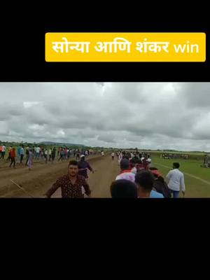 A post by @maharashtra_bailgada_ on TikTok caption: #महाराष्ट्र_बैलगाडा_शर्यत #नाद_एकच_बैलगाडा_शर्यत_ #nikhil2190 #maharashtra_bailgadi_sharyat #naad_ekach_bailgada_sharyat