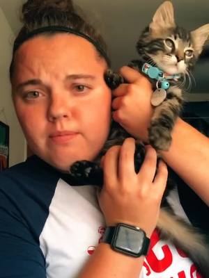 A post by @jennnnayy13 on TikTok caption: The queen is coming! Stole my roommate’s new kitten for this. Everyone meet Bentley! #SummerVlog #Cottagecore #fyp #foryou #thequeen #kitten #cute