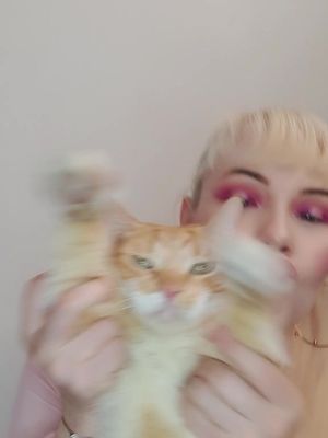 A post by @marimartinez.f on TikTok caption: jajjajajaja de paso les presento a kyo😸 que está muy feliz de salir en el video jajajajaja #queyodetimeenamore